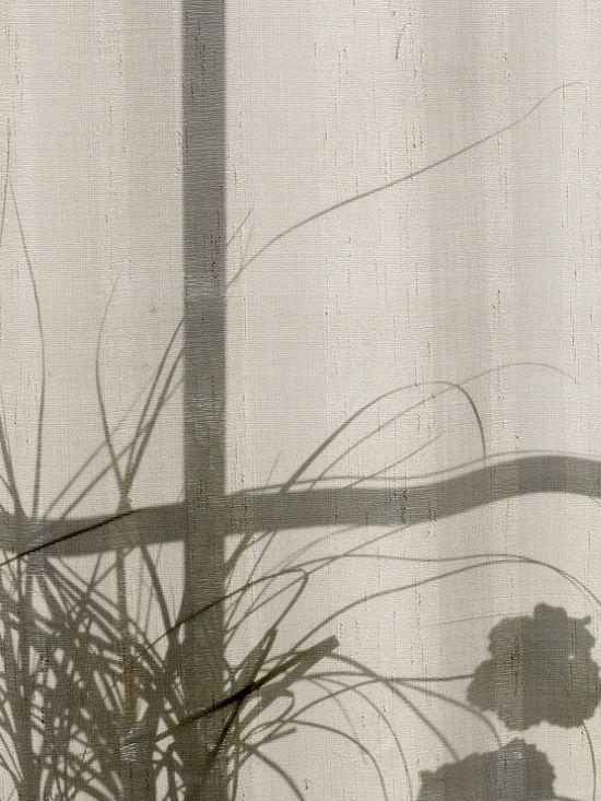 Désinfection à Lannemezan 2